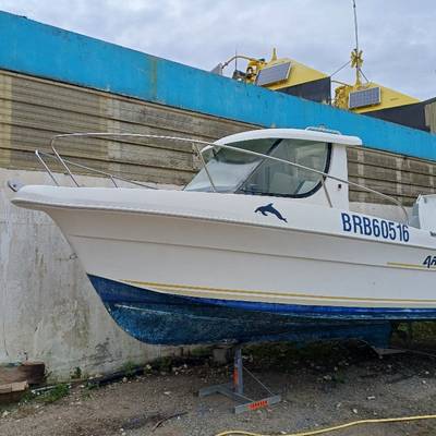 Image principale ARVOR 18 - NANNI 40 cv